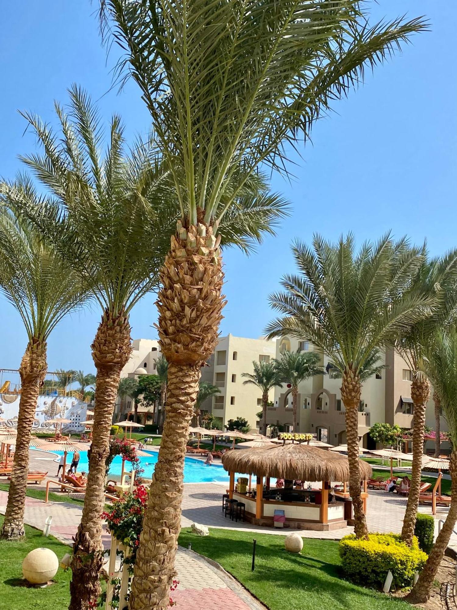 In El Karma Aqua Near El Gouna * Хургада